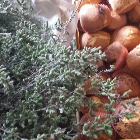 度假居 扎费拉诺度假屋