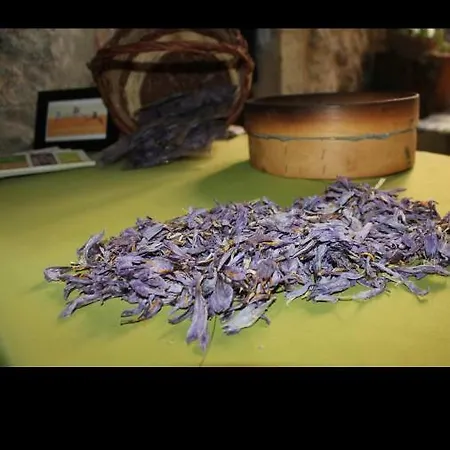 扎费拉诺度假屋 度假居 San Pio delle Camere
